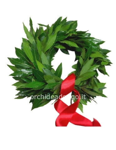 Coroncina di alloro per laurea (regolabile)