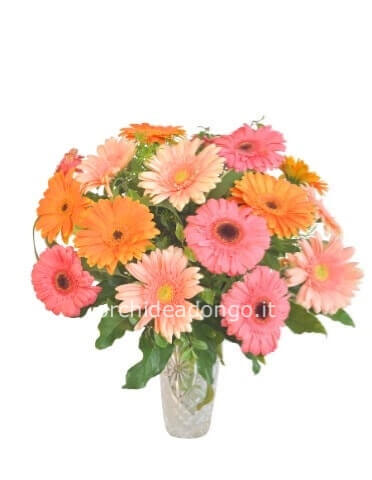 Bouquet di gerbere medium