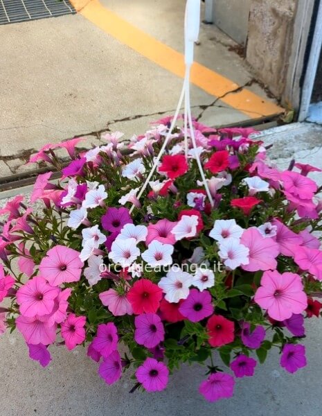 Basket fiorito da esterno diam 25