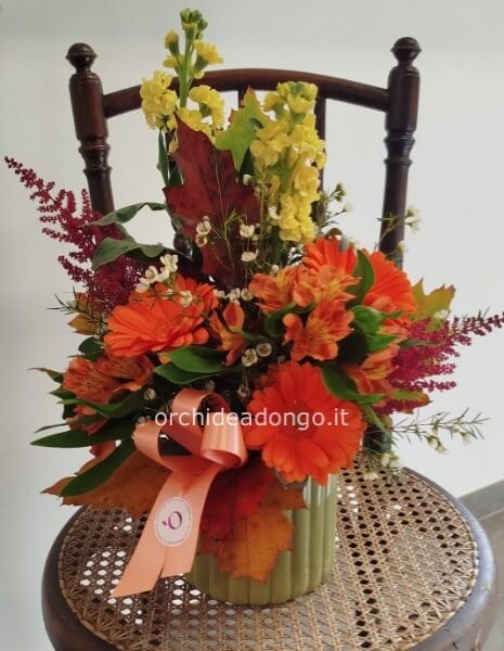 Composizione in vaso di ceramica diam.14/15 cm